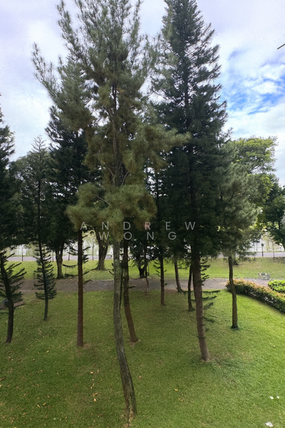 Park connector and Pandan river views