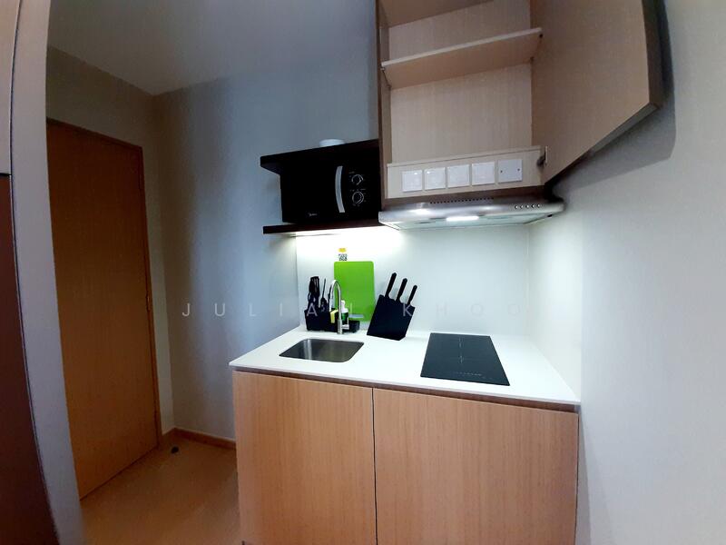 Flexible Lease - Tastefully Renovated @ Orchard, Mount Elizabeth Link, Studio, 259 sqft, Condominium For Rent, by Julian Khoo, 60178619 - PropertyGuru.com.sg