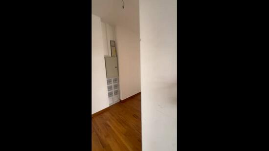 Modern Detached Home in Serangoon Garden Estate