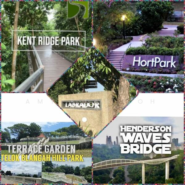 The Peak @ Balmeg, 6 Balmeg Hill, 3 Bedrooms, 1,507 sqft, Condominium For Rent, by Amy Kuah Soh Hong, 60180152 - PropertyGuru.com.sg