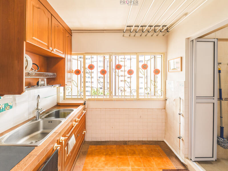 Kitchen view 3 (back)