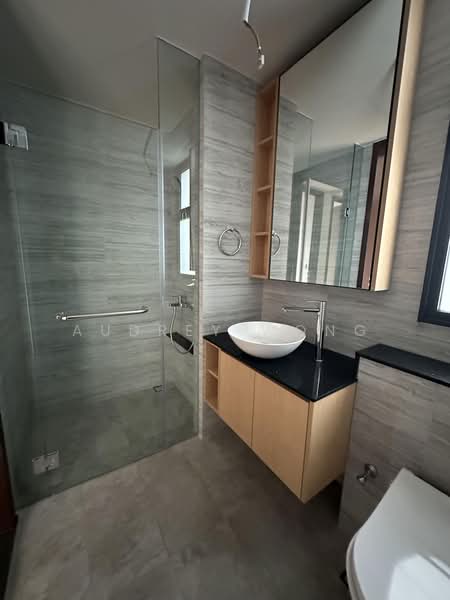 Belgravia Ace, 100 Belgravia Drive, 5 Bedrooms, 4,058 sqft, Semi-Detached House For Sale, by Audrey Wong, 60180706 - Bathroom - PropertyGuru.com.sg