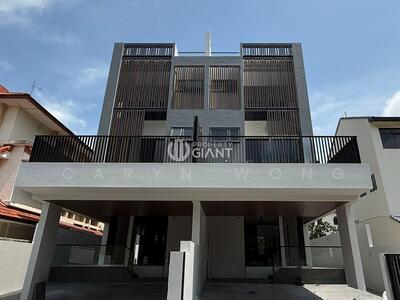 For Sale - ❤️GIANT⚡️Brand New Pair FREEHOLD Semi-D House w Pool, Lift n Attic