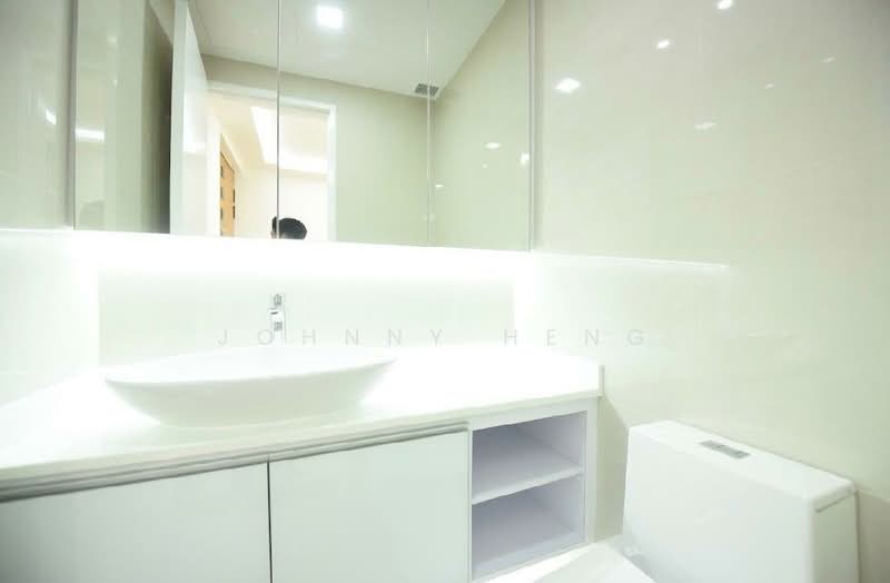 Nassim Jade, 3 Nassim Road, 4 Bedrooms, 2,400 sqft, Condominium For Rent, by Johnny Heng, 60181396 - Bathroom - PropertyGuru.com.sg
