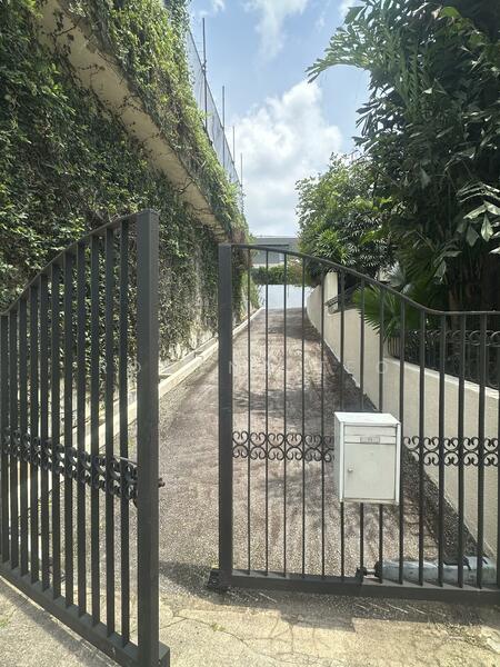 Driveway to the house