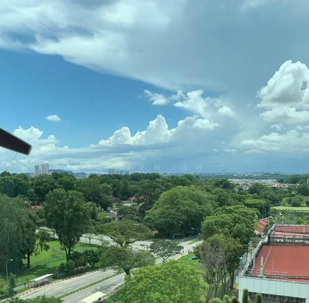 Unblock greenery view