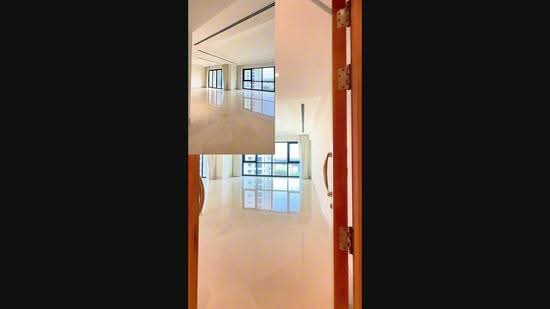 Ardmore Park, 11 Ardmore Park, Tanglin / Holland / Bukit Timah, 4 Bedrooms, 2,885 sqft, Condominium For Sale, by Ivan Lam, 60184628 - PropertyGuru.com.sg