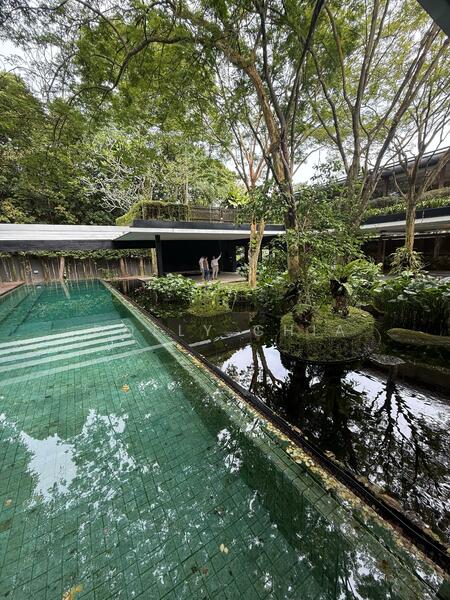 Pool and Lush private garden