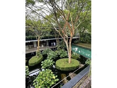 For Rent - 16 cluny road