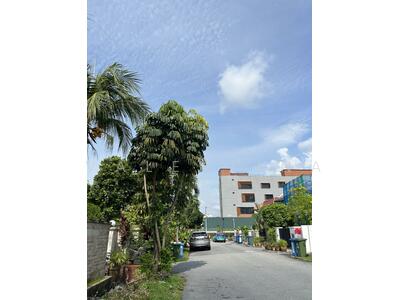 For Sale - Frankel Estate