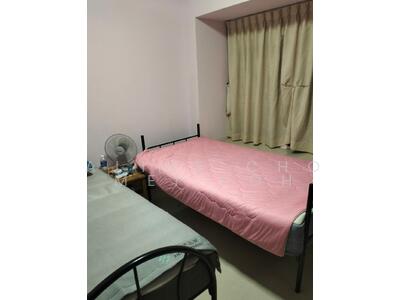 For Rent - 339D Kang Ching Road
