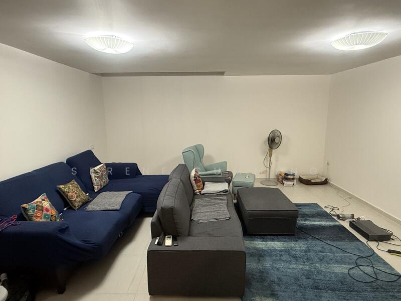 Basement Entertainment Room