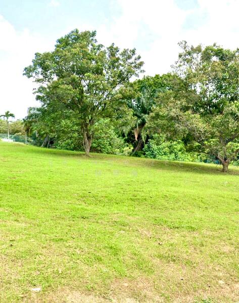 Bukit Timah vicinity, Good Class Bungalow for rent