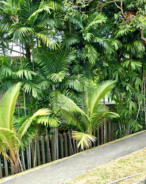 Bukit Timah vicinity, Good Class Bungalow for rent