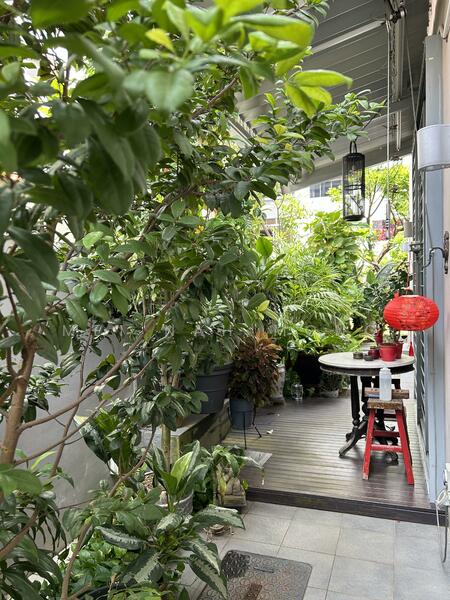 For Sale - D9 Freehold Orchard Corner Terrace