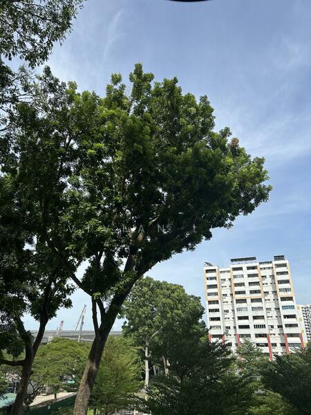 For Sale - 548 Jurong West Street 42