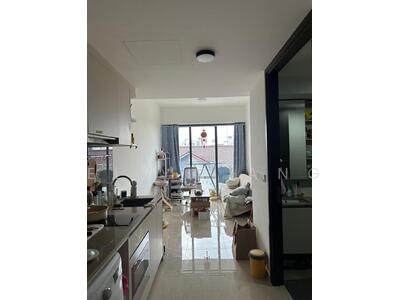 For Sale - The Gazania