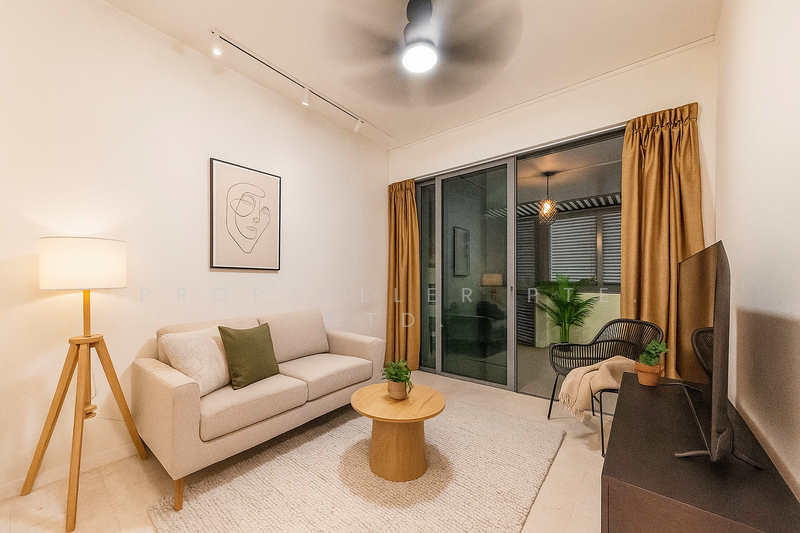 For Sale - Skies Miltonia