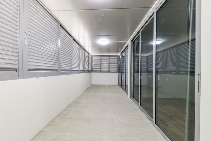 For Sale - Skies Miltonia