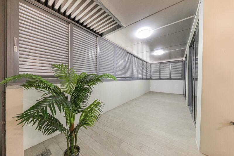 For Sale - Skies Miltonia