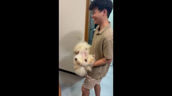 121B Punggol Edge, 121B Edgedale Plains, Room Rental, 100 sqft, HDB Flat For Rent, by Marcus Ng, 60192249 - PropertyGuru.com.sg