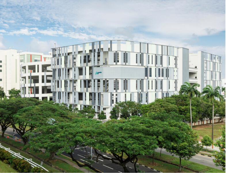 Food Factory 7m High Ceiling Mezzanine Floor Ramp-up for Rent @ Senoko, , 11,341 sqft, Factory / Workshop (B2) For Rent, by Fuan Freddie, 60193769 - Exterior - CommercialGuru.com.sg