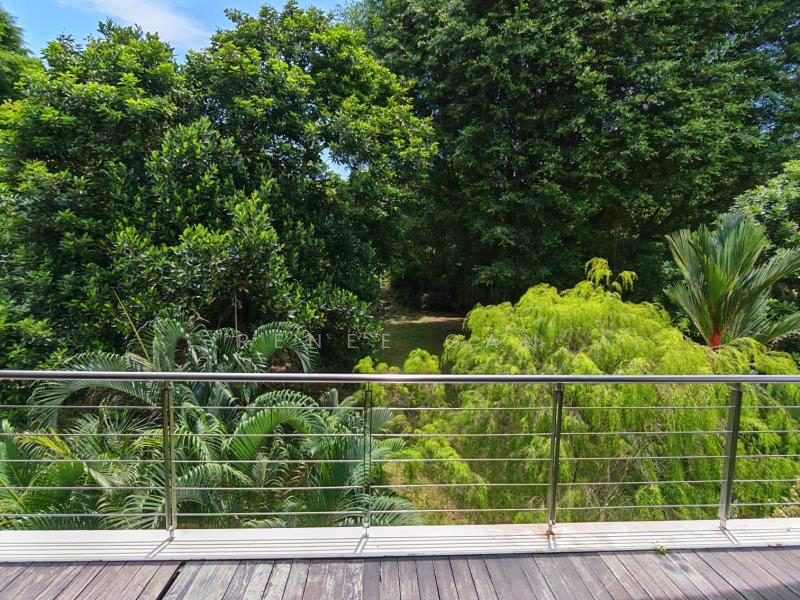 ✨Bukit Timah 3Sty Semi D with Basement ✨Wide frontage ✨6 Rms, , 6 Bedrooms, 6,900 sqft, Semi-Detached House For Sale, by Renee Gan, 60193777 - View - PropertyGuru.com.sg