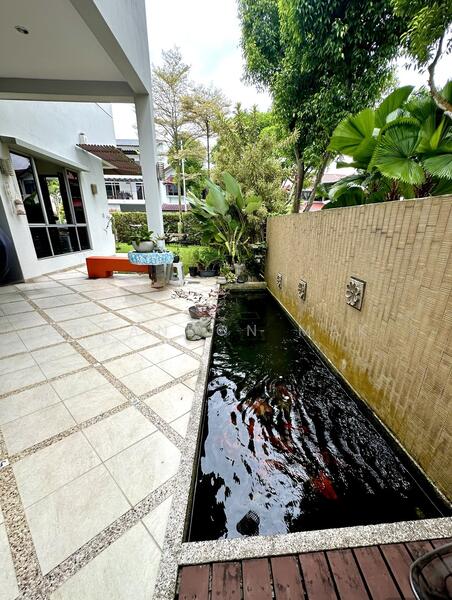 Side Yard Fish Pond