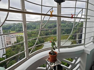 For Sale - Guilin View