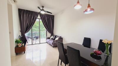 For Sale - Skies Miltonia