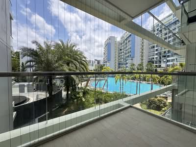 For Sale - Skies Miltonia