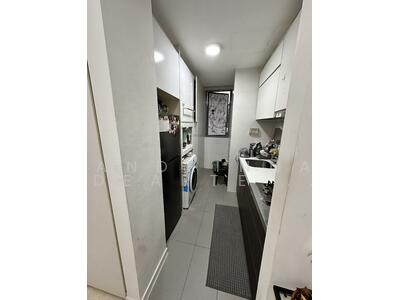 For Rent - Skies Miltonia