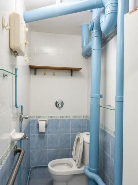 37 Jalan Rumah Tinggi, 37 Jalan Rumah Tinggi, 2 Bedrooms, 570 sqft, HDB Flat For Sale, by Serene Li, 60197643 - Bathroom - PropertyGuru.com.sg