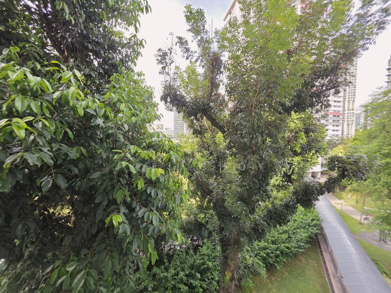 For Sale - 105 Spottiswoode Park Road