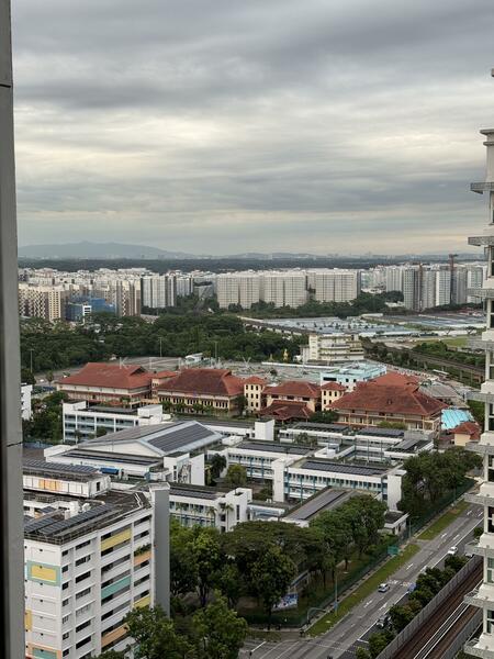 View out from living room
