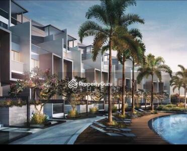 For Sale - Skies Miltonia