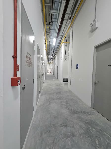 Food Factory For Rent Corner Low floor, Tuas south Avenue, 2,185 sqft, Factory / Workshop (B2) For Rent, by Angie Low 罗笳僡, 60200657 - Corridor - CommercialGuru.com.sg
