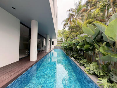 For Sale - D10 Luxury Detached House near Henry Park Primary School