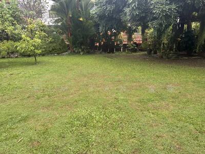 For Sale - Rare freehold bungalow with huge Land and regular shape for subdivision