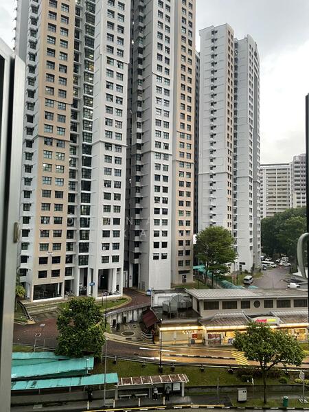 View from Living Areea