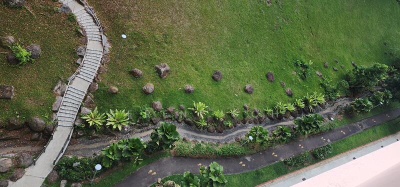 View from living room 