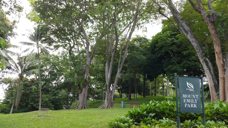 For Sale - Mount Sophia