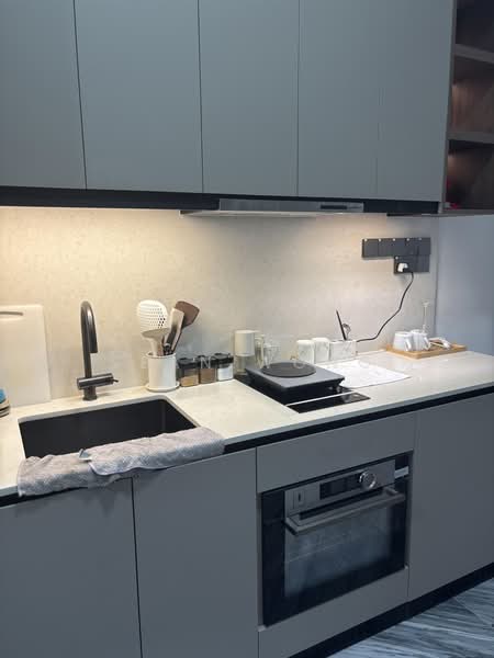 Grange 1866, 74 Grange Rd, 1 Bedroom, 527 sqft, Condominium For Rent, by Sean Wong, 60204005 - Kitchen - PropertyGuru.com.sg