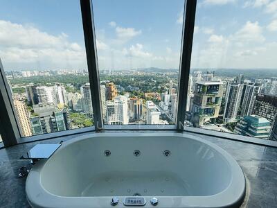 For Rent - The Orchard Residences