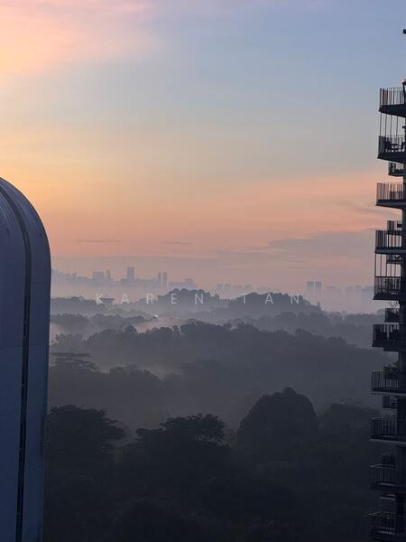 For Sale - Tree House