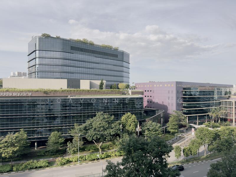 For Sale - 363 Woodlands Avenue 5