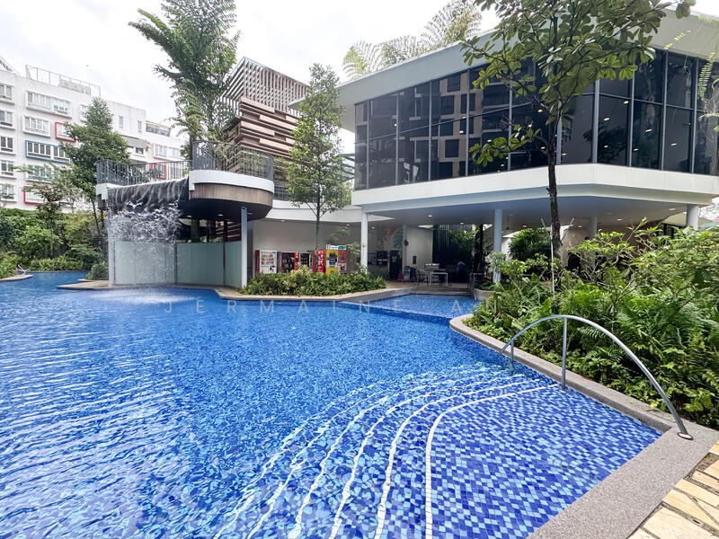 For Sale - The Rainforest