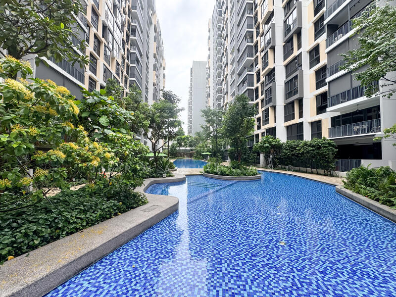 For Sale - The Rainforest