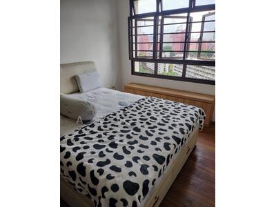 For Rent - Common room near redhill mrt