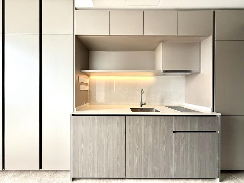 Modern Open Kitchen w Washer-cum-Dryer